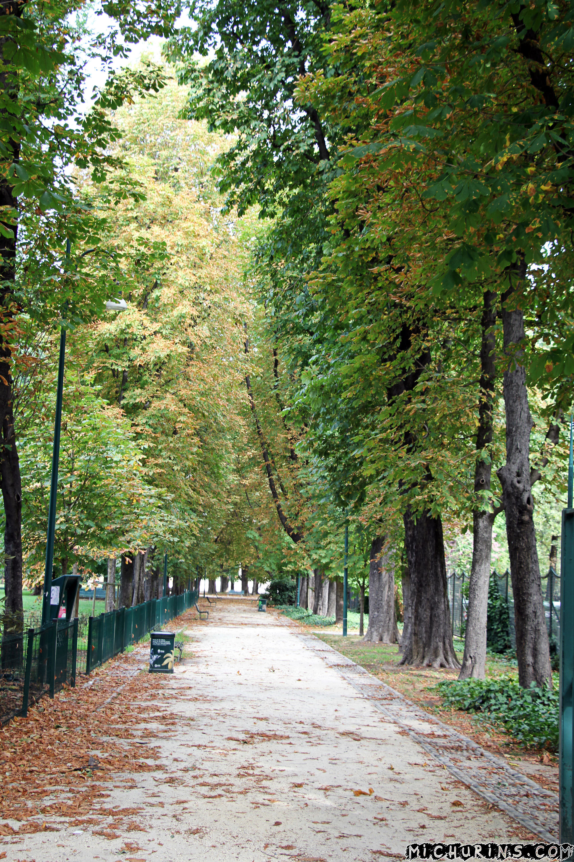 Аллея парка