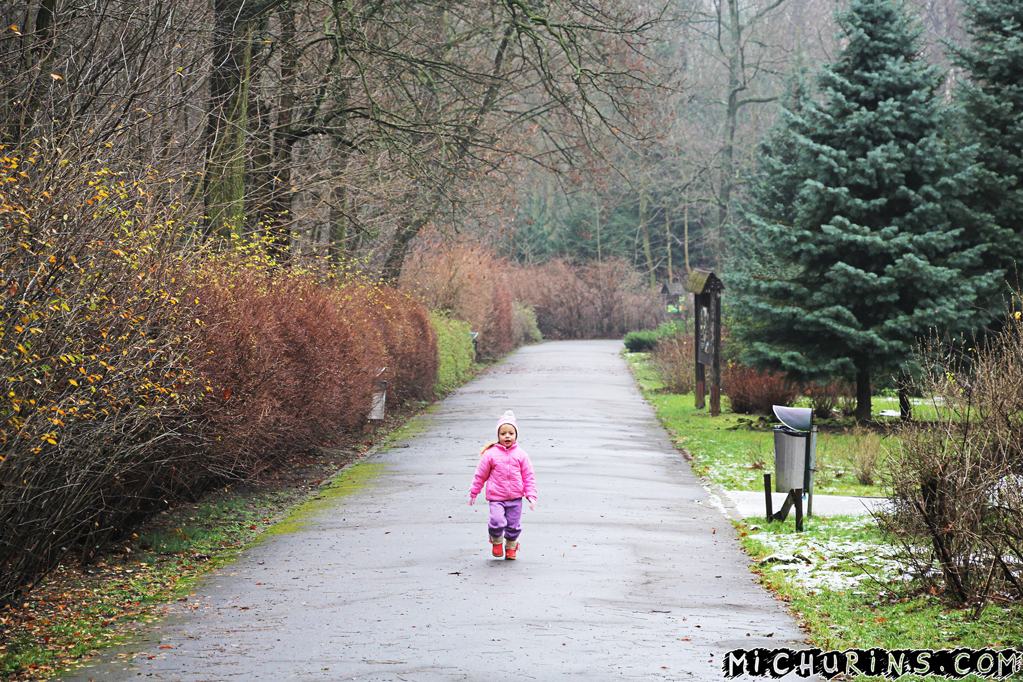 Аелет на аллее