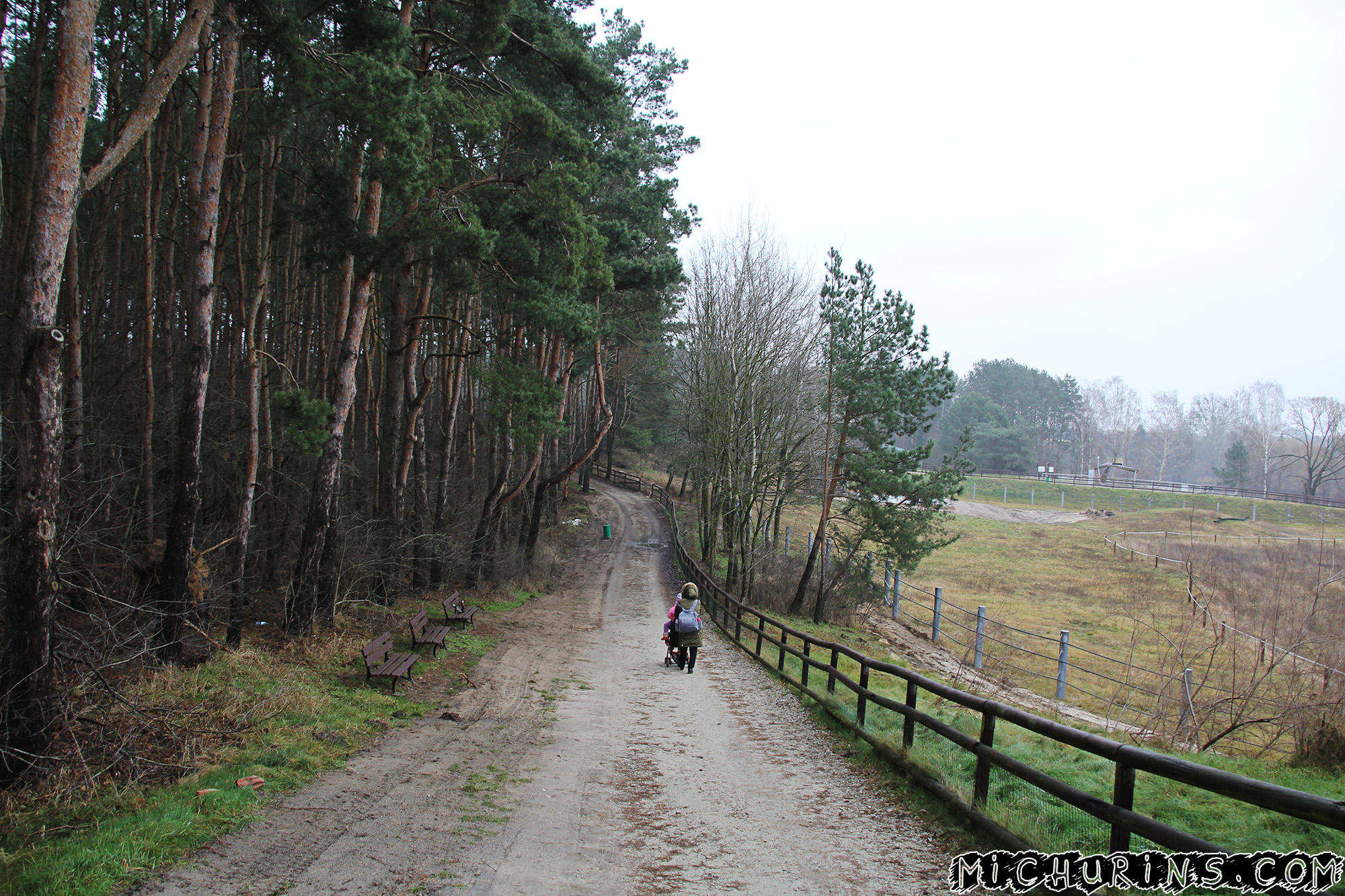 Дамы устремились вперёд