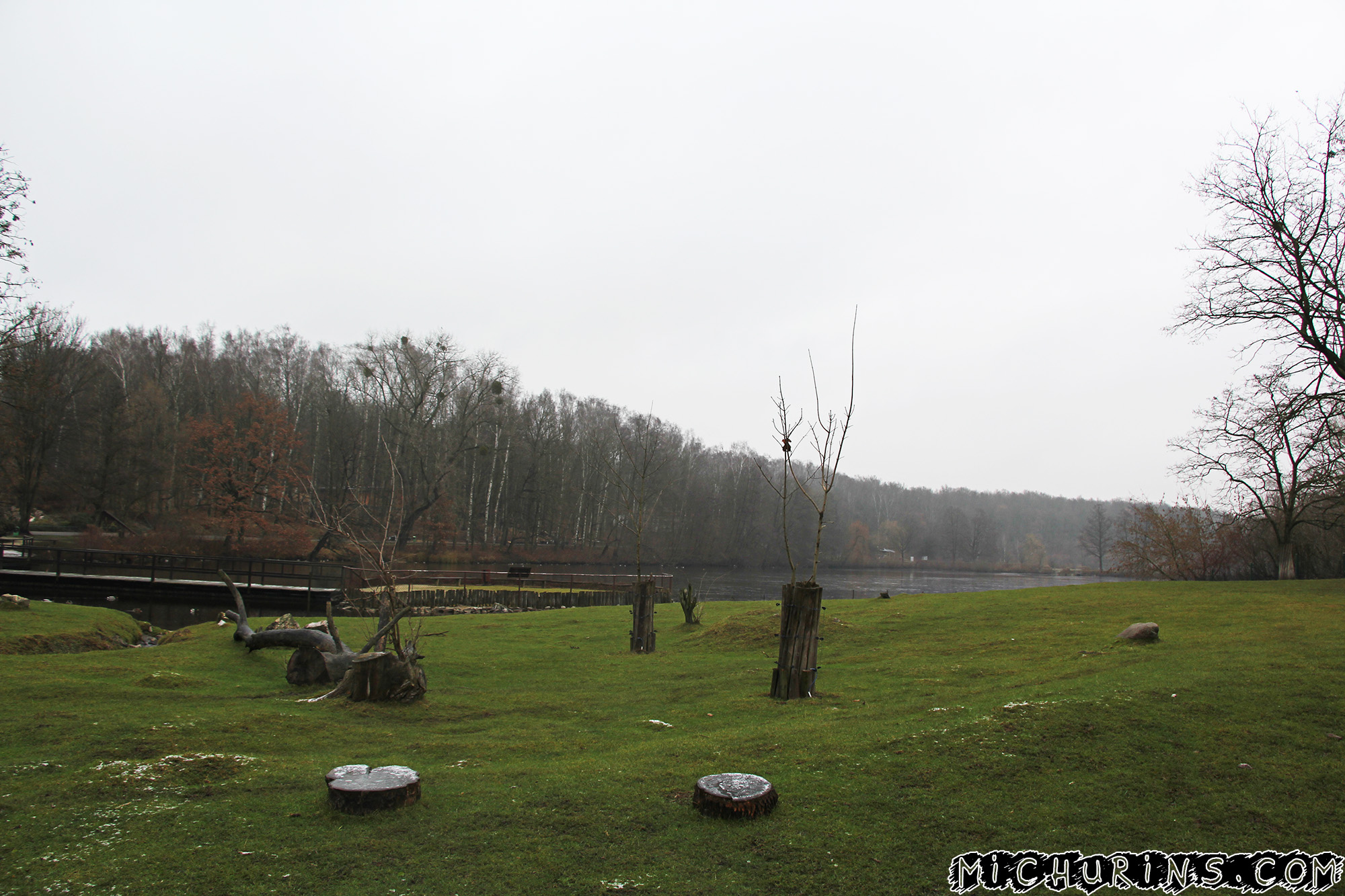 Вид на озеро