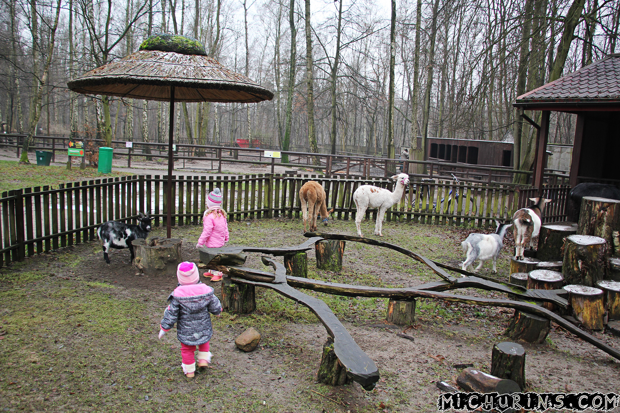 В уголке с домашними животными